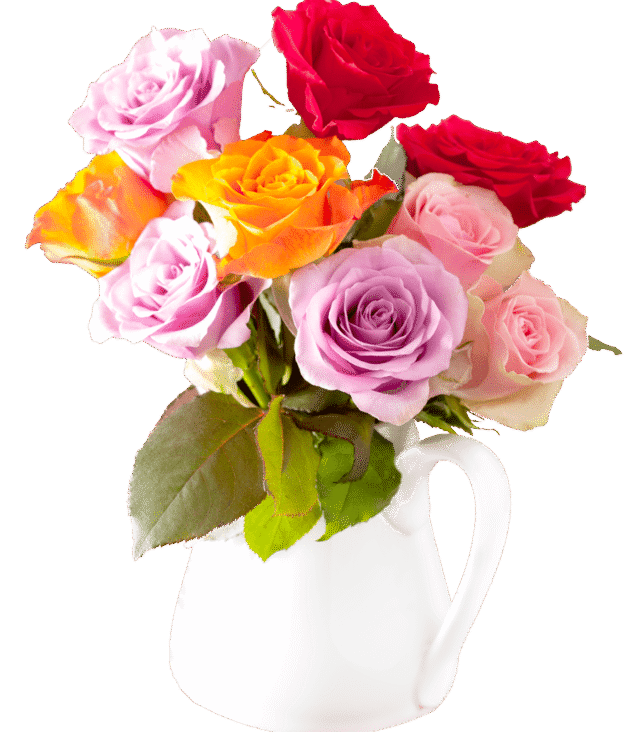 demo-attachment-147-beautiful-colorful-rose-flowers-bouquet-in-vase-PVMA7LL-e1585206469445