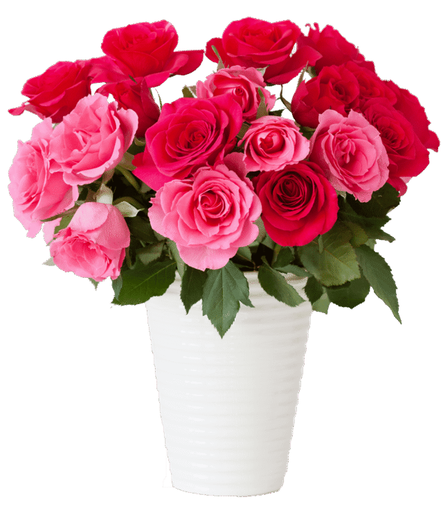 demo-attachment-149-beautiful-red-rose-flowers-bouquet-in-vase-over-PQMN932-e1585206413921